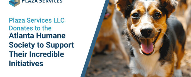 animal rescue center|animal rescue center|animal rescue center